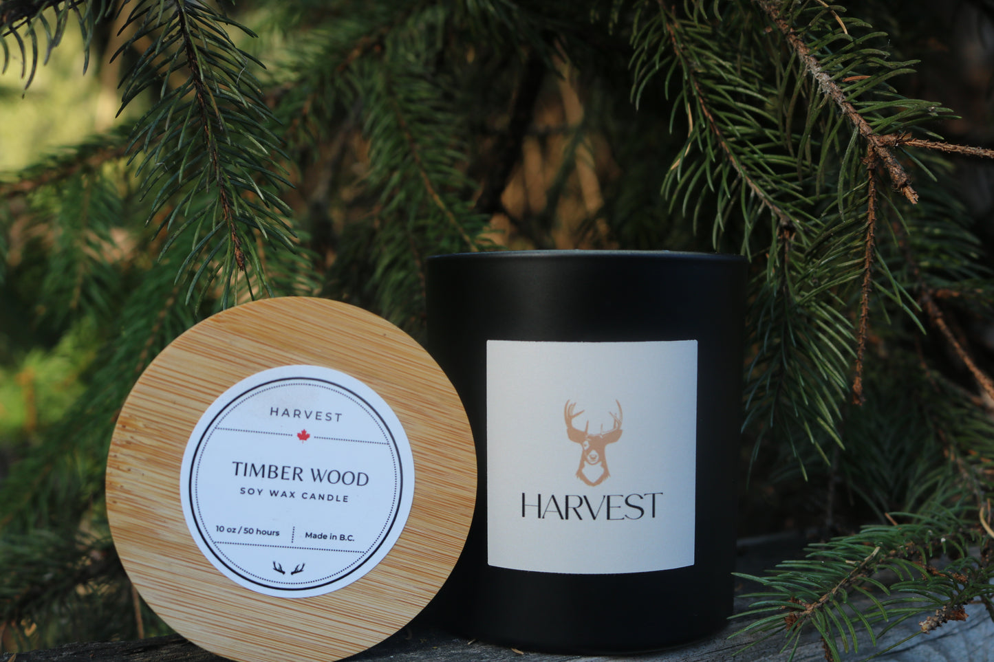 Timber Wood 10z Soy Candle