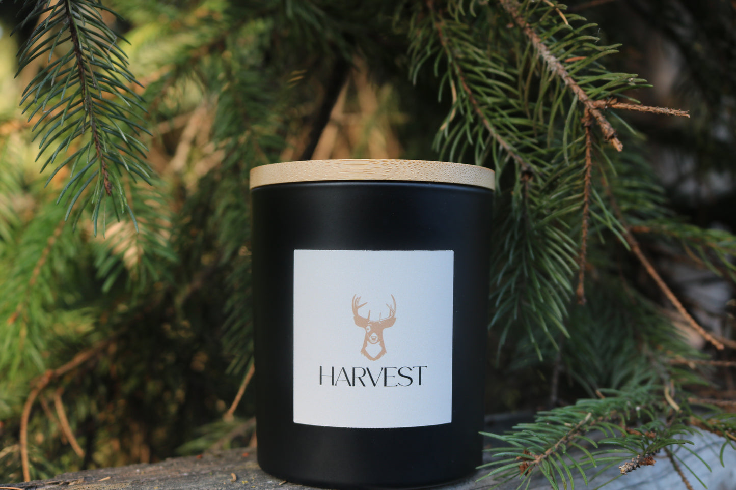 Timber Wood 10z Soy Candle