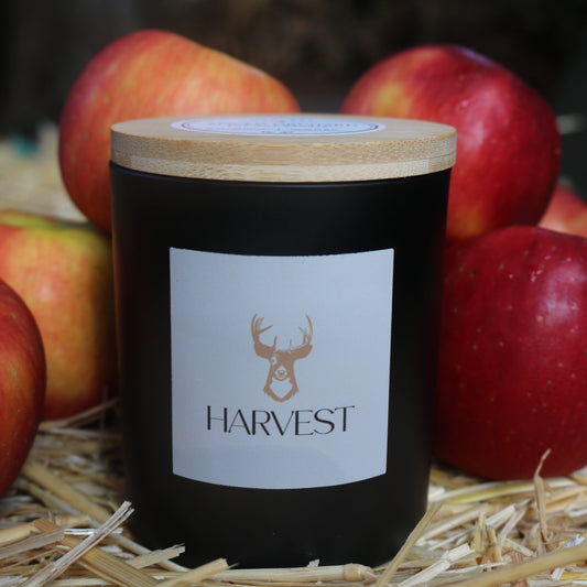 Spiced Orchard - 10oz Soy Candle