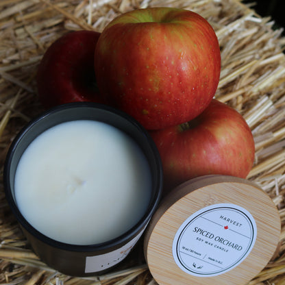 Spiced Orchard - 10oz Soy Candle