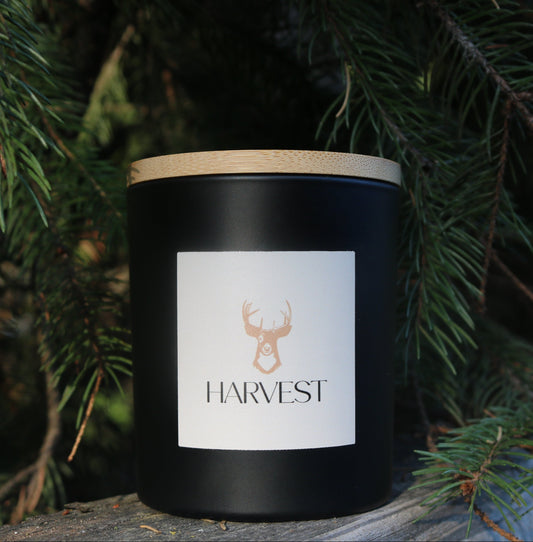 Timber Wood 10z Soy Candle