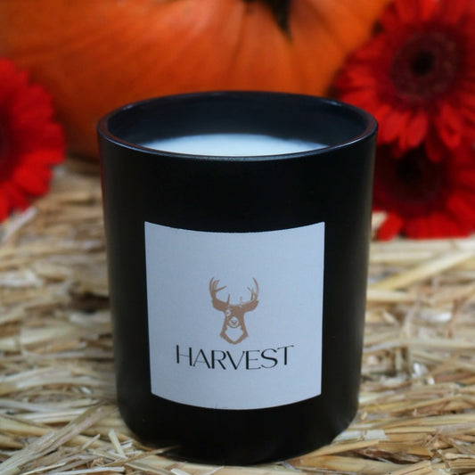 Praline Pumpkin Patch 10oz Soy Candle